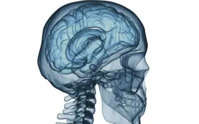 Let’s Get Serious About Concussions