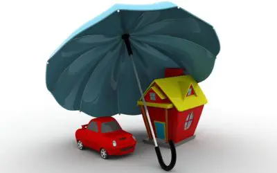 An umbrella…it’s not just for the rain!