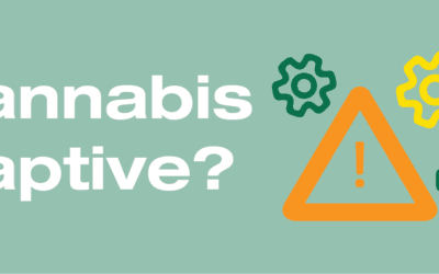 A Cannabis Insurance Captive, Really?