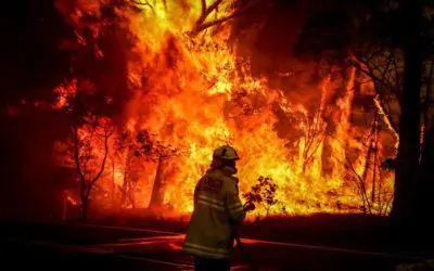 Jeans Day: Australia’s Bushfire Victims