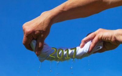 Is Your Business Going To Be Ringing In or Wringing Out 2017?