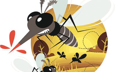 Buzz Off – Minimizing Your Mosquito Risk!