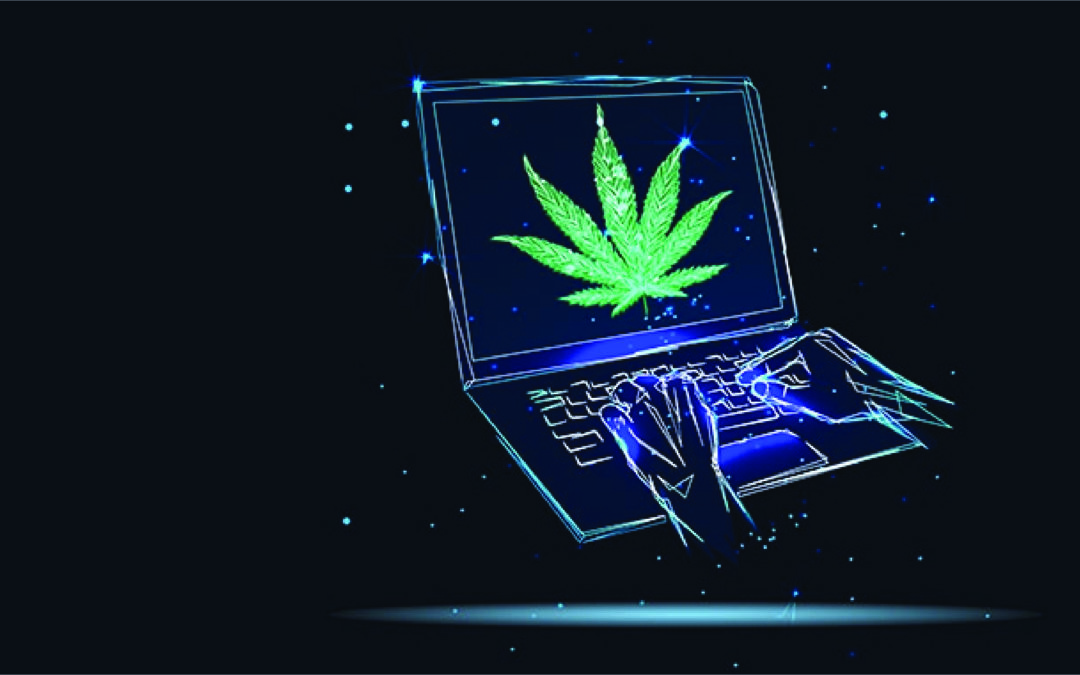 Are There Cyber Risks in the Cannabis Business?