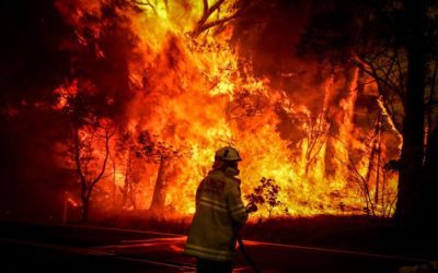 Jeans Day: Australia’s Bushfire Victims 