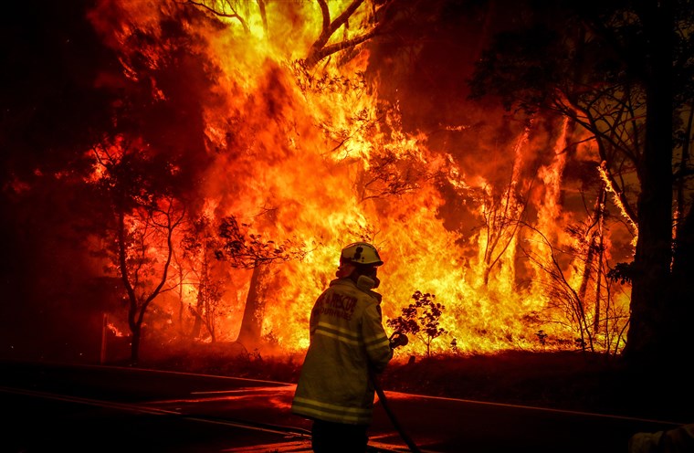 Jeans Day: Australia’s Bushfire Victims 