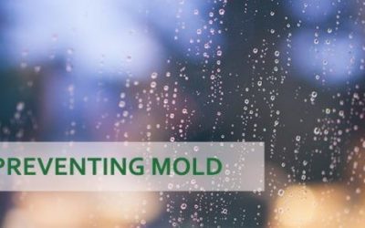 Prioritize Mold Prevention at Home