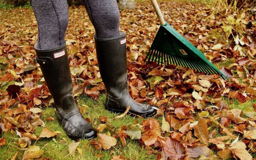 Finally Fall! A Season For Pumpkin Spice & Productivity