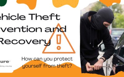 Vehicle Theft Prevention and Recovery