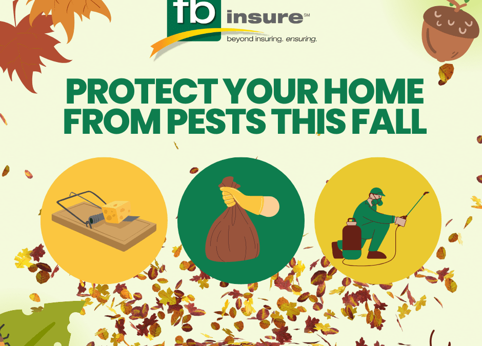 Protect Your Home From Pests This Fall