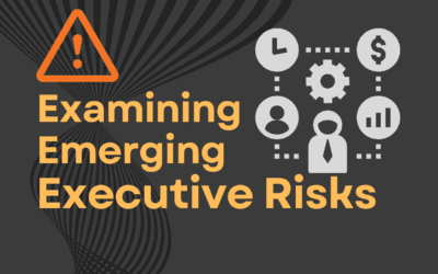 Examining Emerging Executive Risks